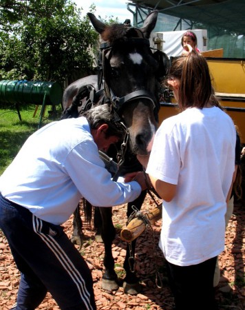 A Nimród Lovastanyán